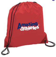 AA Drawstring Bag - 12 pack