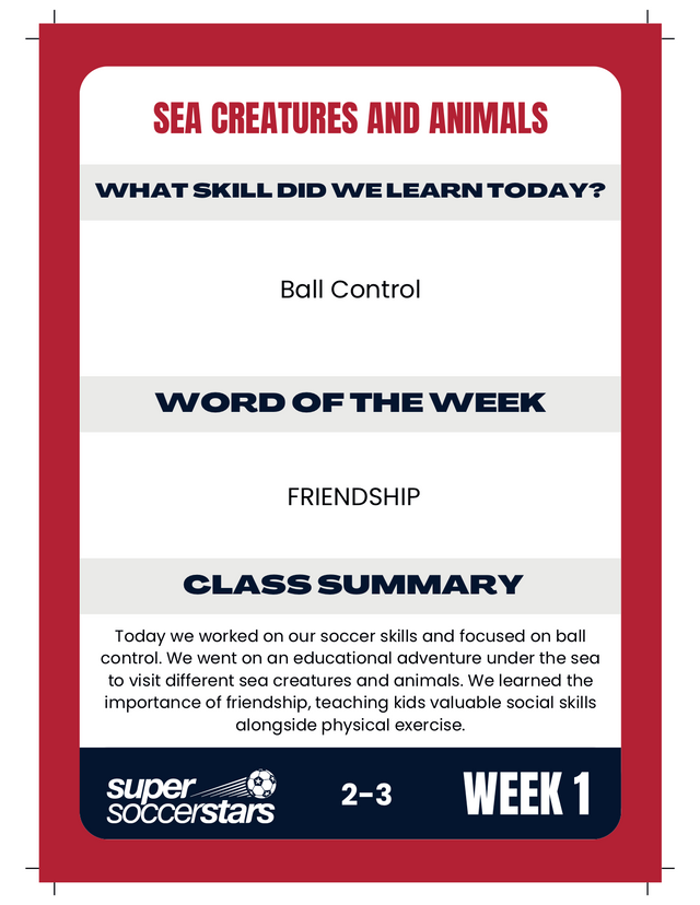 Super Soccer Stars Curriculum Cards - set of 84