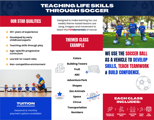 SS Trifold Brochure-Pack of 50