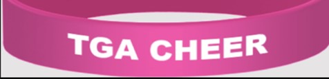 TGA Cheer Pink Wristband - Pack of 10