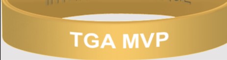 TGA MVP Gold Wristband - Pack of 10
