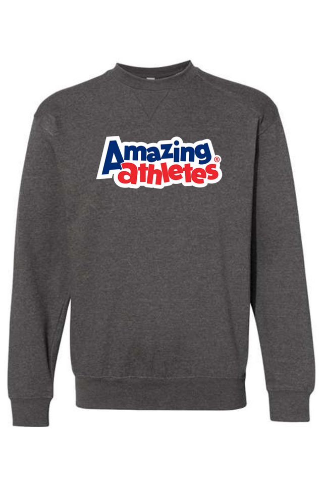 AA - C2 Fleece Crew