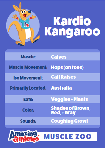 AA Flash Cards - Powers Family & Muscle Zoo