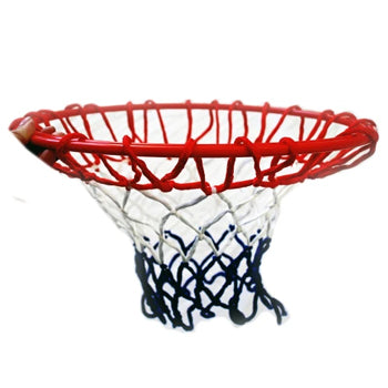 Basketball Hoop and Net Combo