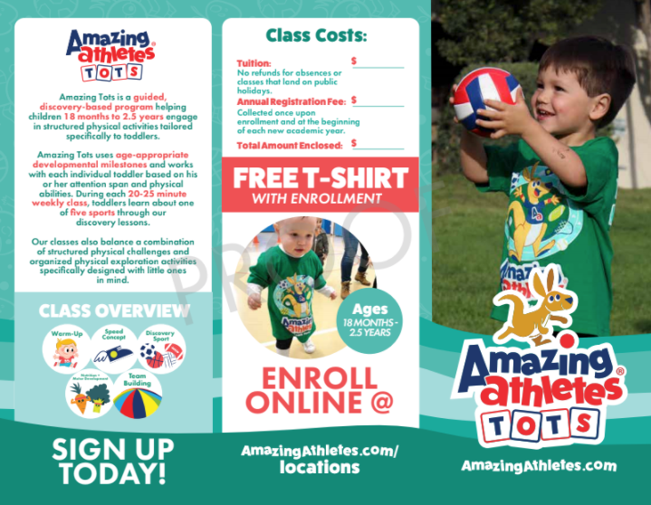 AA Tots Tri-Fold Brochures ONLINE REG (Pack of 50)