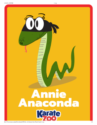 Karate Zoo Flash Cards