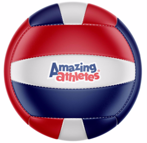 AA Volleyball - Mini - Set of 15