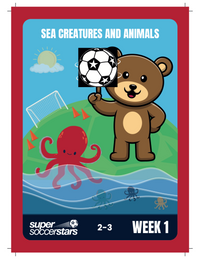 Super Soccer Stars Curriculum Cards - set of 84