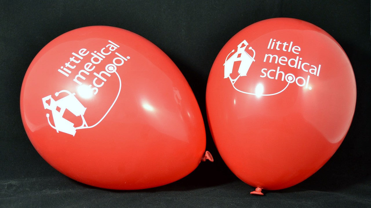 LMS Red Balloons - Pack of 15