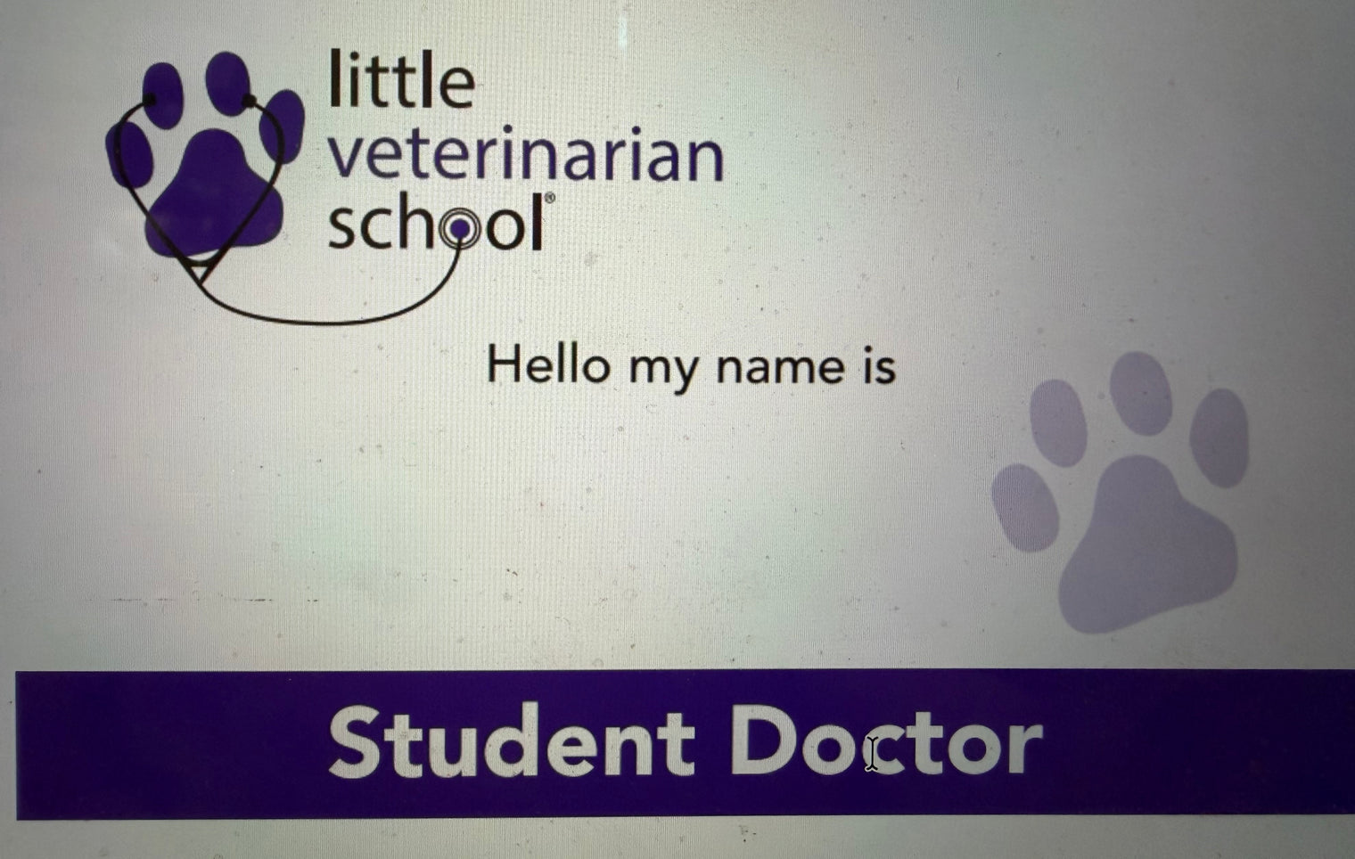 LVS Nametags - Pack of 12