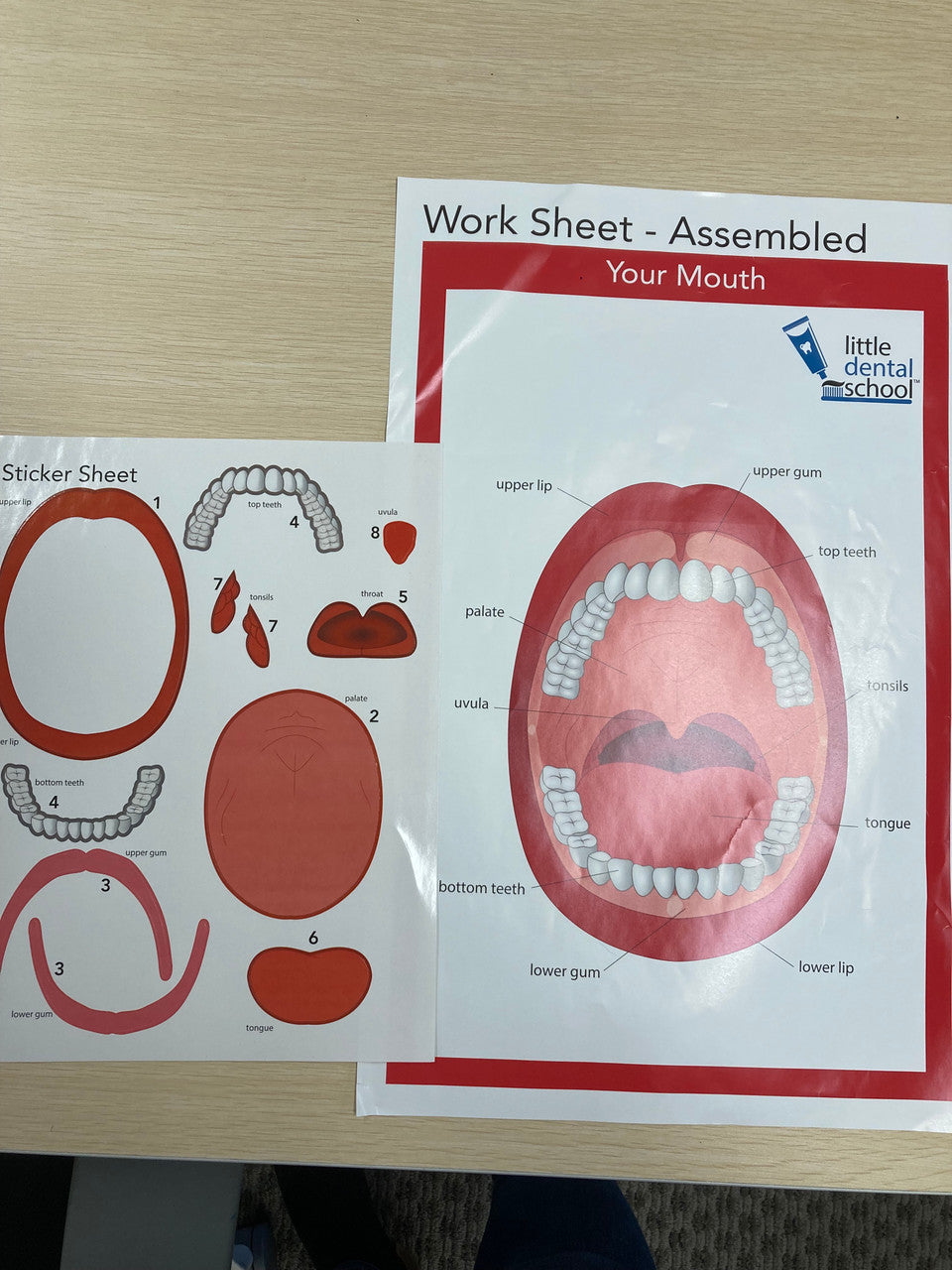 Dental Sticker Sheet - Set of 12