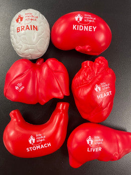 LMS Organ Stress Balls Set