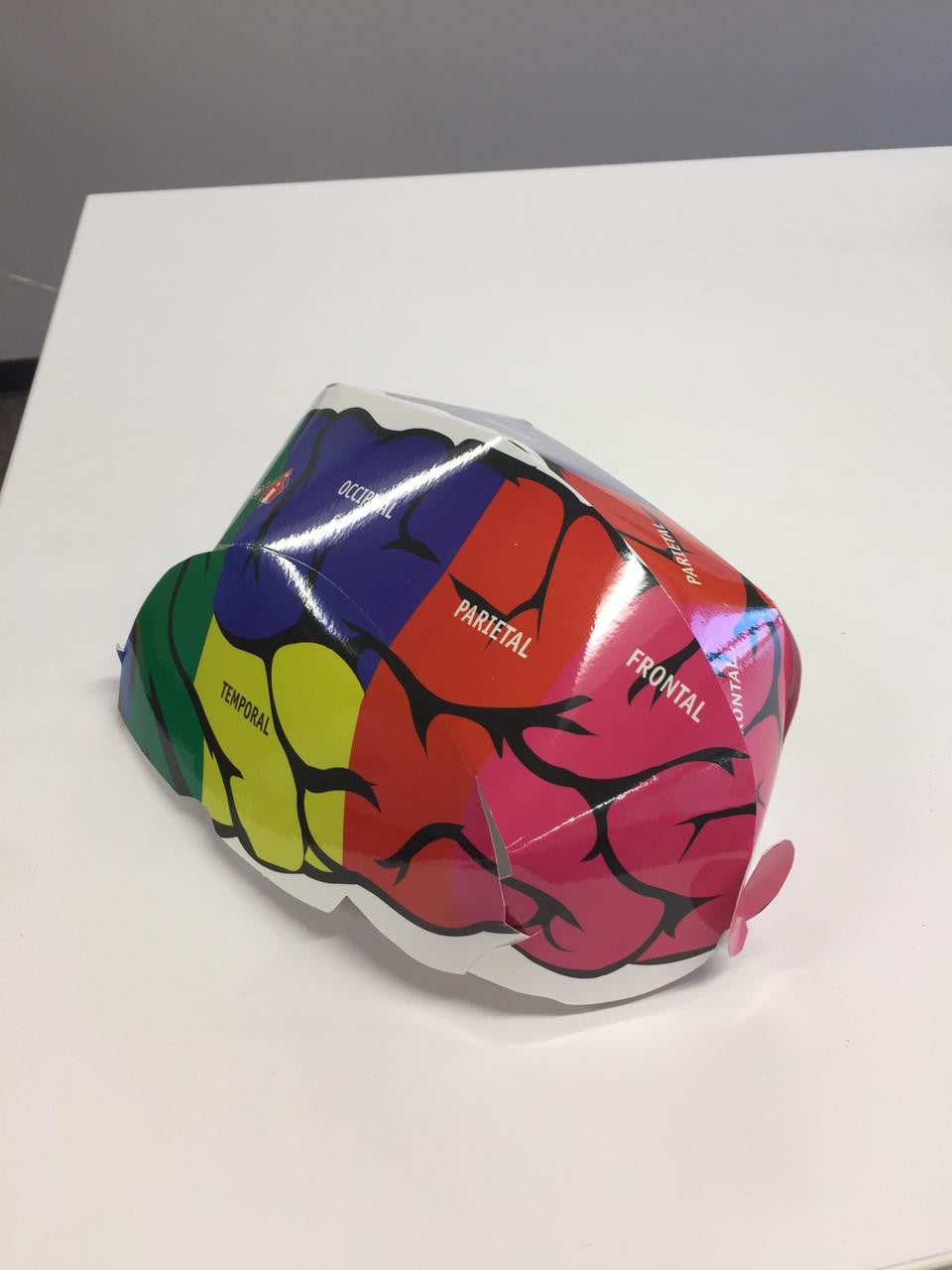 LMS Brain Hats - Pack of 12