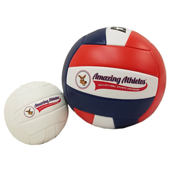 AA P.E. Volleyball (Pack of 5)
