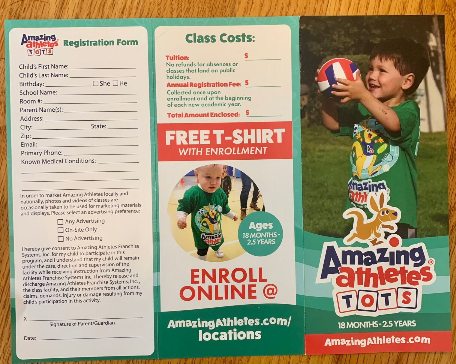 AA Tots Tri-Fold Brochures MANUAL REG (Pack of 50)